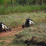 StockCROSS_ABR2016_0074.jpg