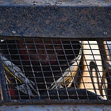 StockCROSS_ABR2016_0245.jpg