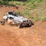 StockCross_JAN17_0124.jpg