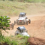 StockCross_JAN17_0176.jpg